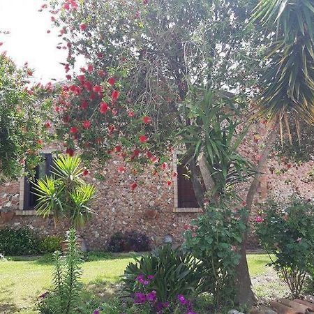 Agriturismo Pingitore Luzzi ภายนอก รูปภาพ