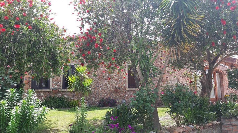 Agriturismo Pingitore Luzzi ภายนอก รูปภาพ