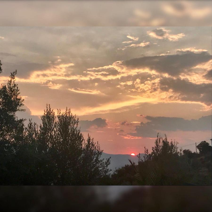 Agriturismo Pingitore Luzzi ภายนอก รูปภาพ