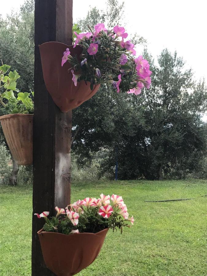 Agriturismo Pingitore Luzzi ภายนอก รูปภาพ