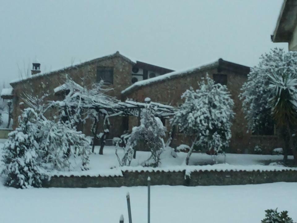 Agriturismo Pingitore Luzzi ภายนอก รูปภาพ