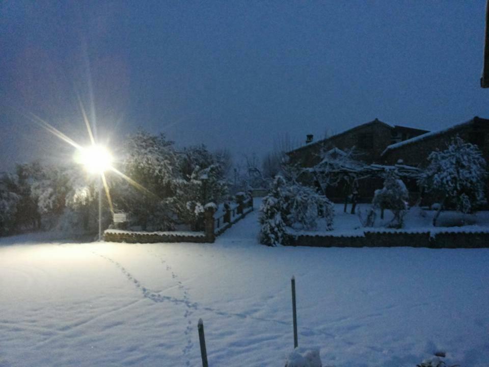 Agriturismo Pingitore Luzzi ภายนอก รูปภาพ