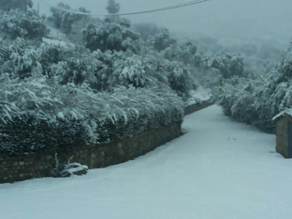 Agriturismo Pingitore Luzzi ภายนอก รูปภาพ