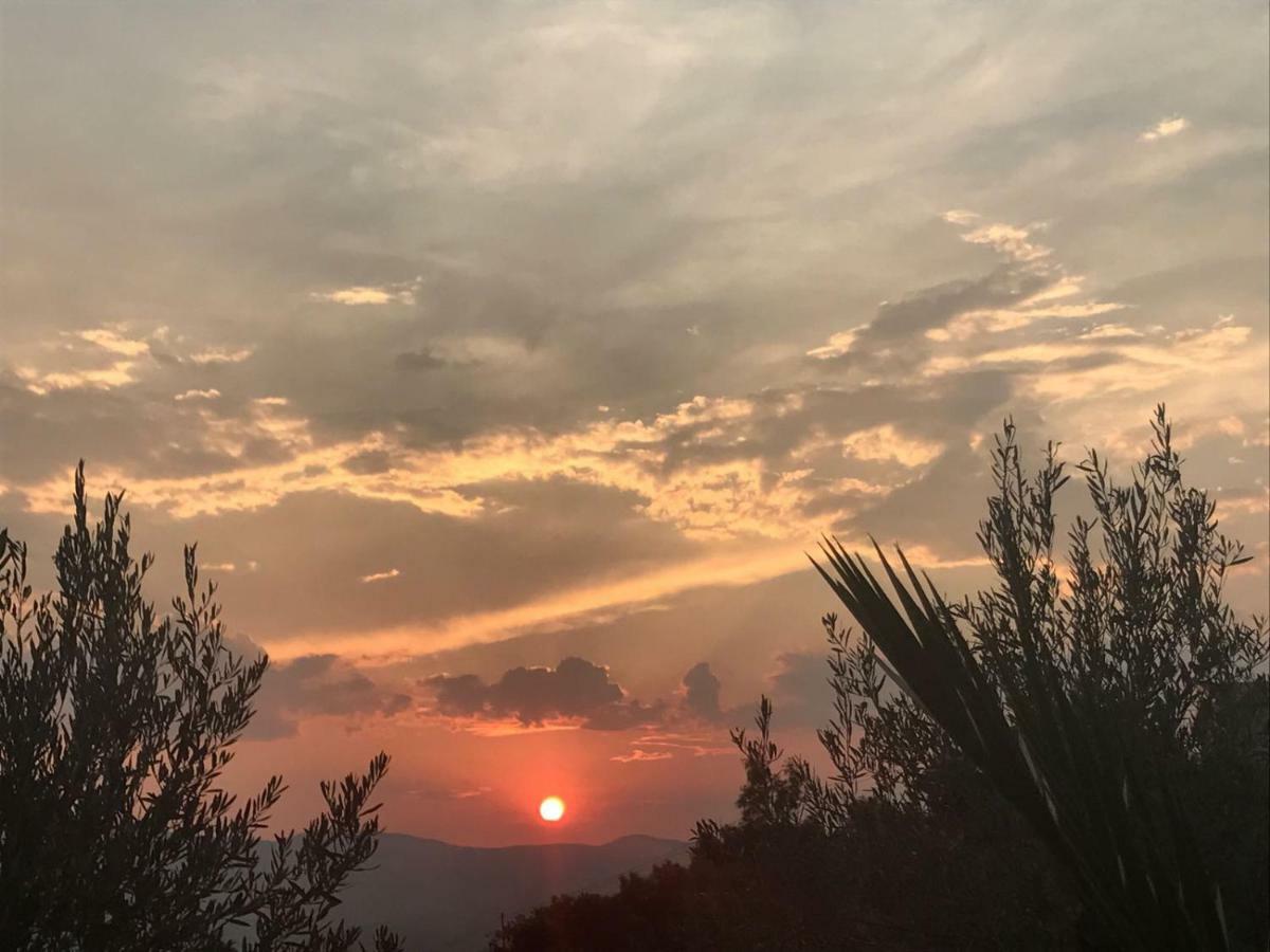 Agriturismo Pingitore Luzzi ภายนอก รูปภาพ
